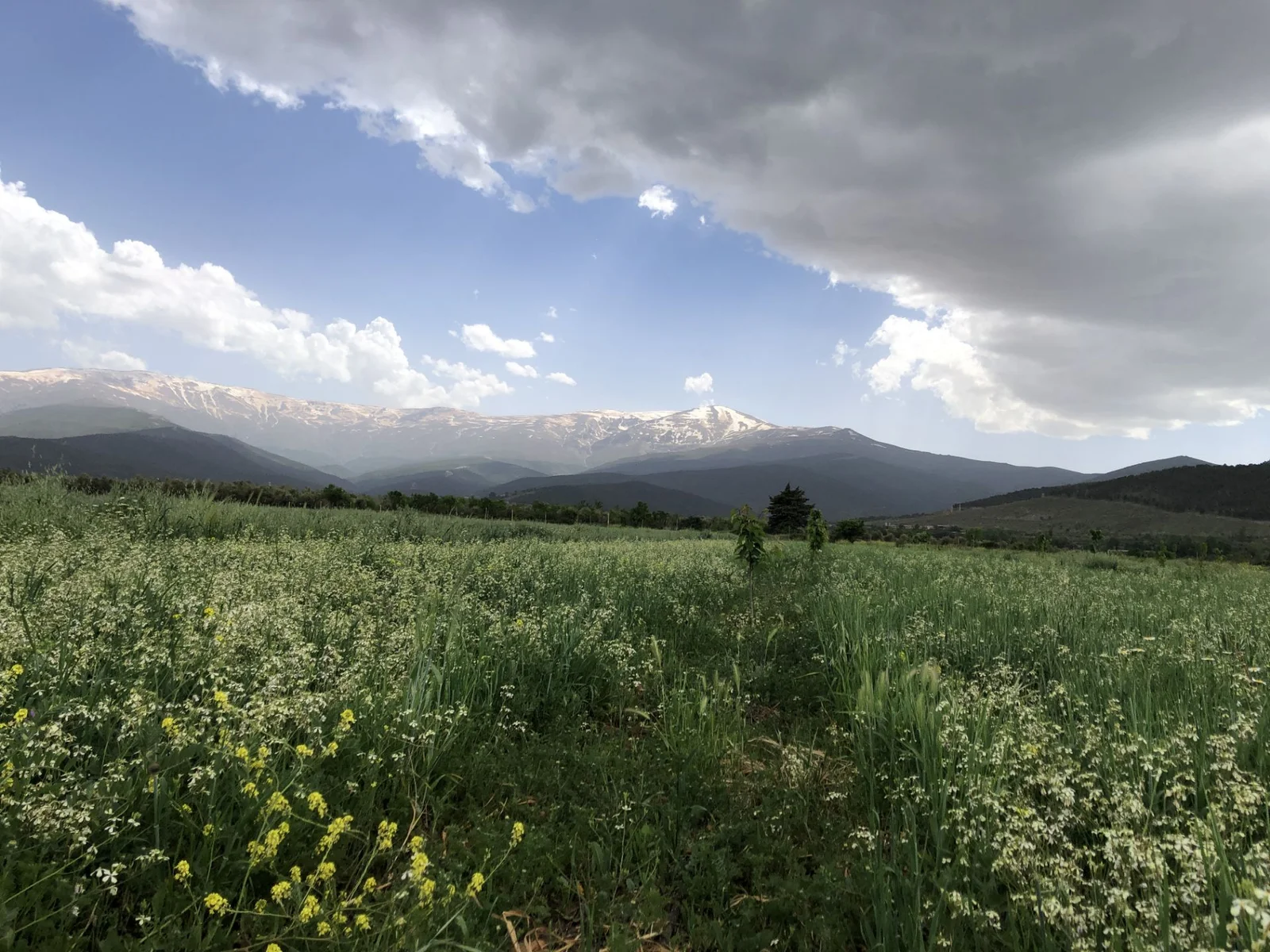 Camping la Viñas