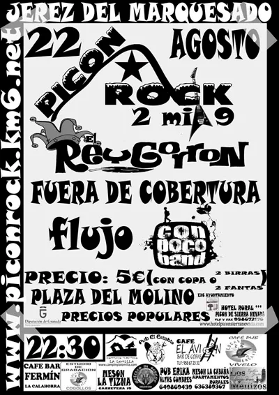 Cartel Piconrock 2009