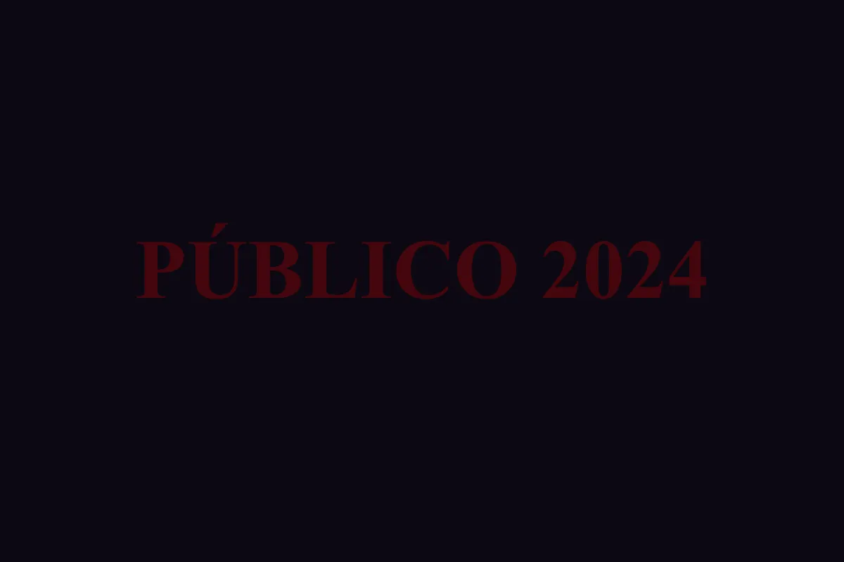 Público Piconrock 2024