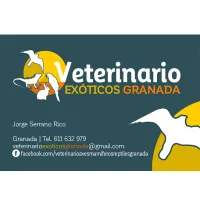 Veterinario